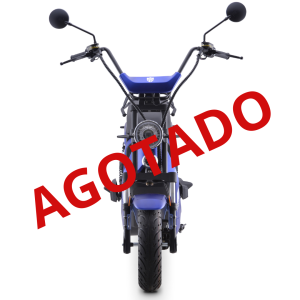 SCOOTER ELÉCTRICO ECOWHEEL-EXPLORER GT