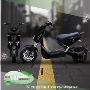 ECOWHEEL - NINJA 2.0 VERSION 2024