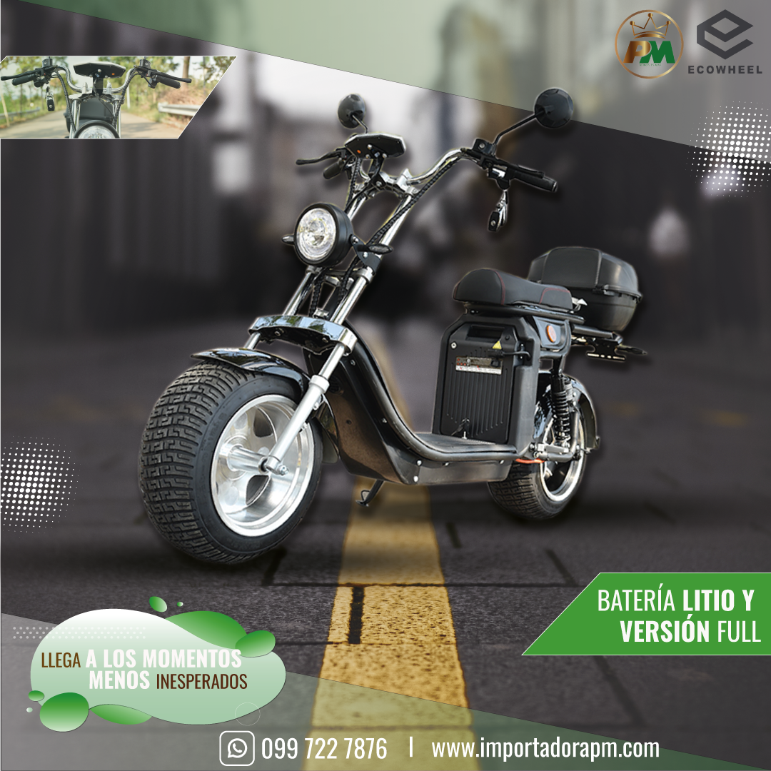 ECOWHEEL - FORCE 4.0 VERSION 2024